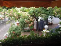 Hotel Derby Hotels in Bellaria
