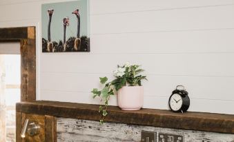 A Place in the Pennines