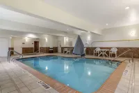 Comfort Suites Medical Center Near Six Flags