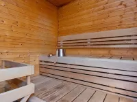 Hirvasaho a 2