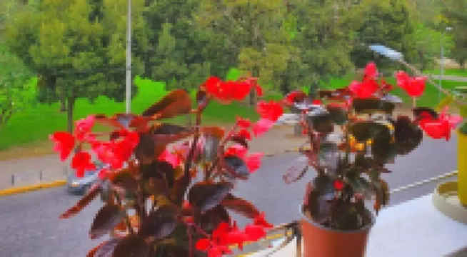 ホテル・インティ・キト