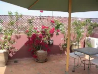 Riad les Bougainvilliers