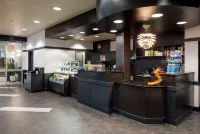 什裏夫波特希爾頓酒店 - 酒吧