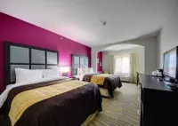 Comfort Inn & Suites Tulsa I-44 West - Rt 66 - WiFi