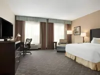 Hilton Garden Inn Silver Spring White Oak - bar