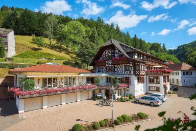 Flair Hotel Adlerbad Hotels in Bad Peterstal-Griesbach