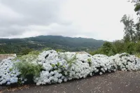 Quinta Da Cova Do Milho Hotel a Santo António da Serra