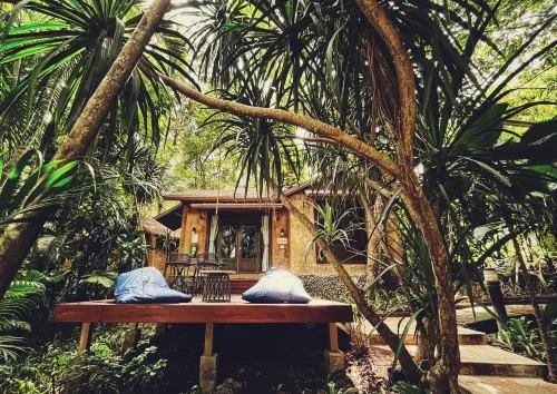 Wanathara Resort - Pools