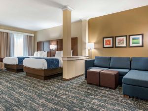 Comfort Inn & Suites Downtown Near University