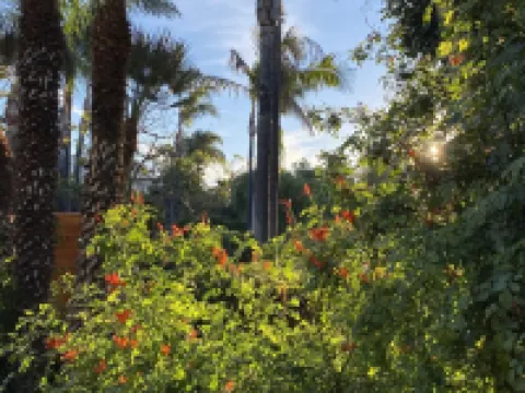 Cactus Garden Cottage…Best Location!! フォールブルックのホテル