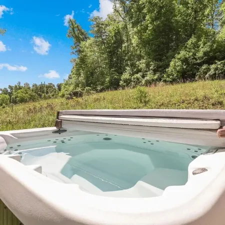 Hottub  Kid Friendly  Game Rm  Pets