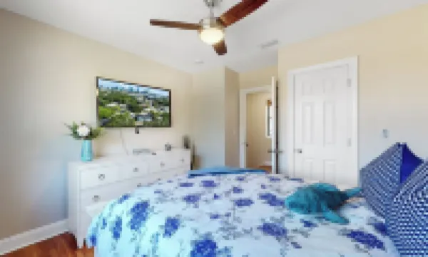 Remodeled house in San Marco steps from San Marco Square and Riverwalk Hotels near Cummer Museum of Art & Gardens