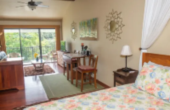 Experience the Island Paradise of Kauai's North Shore from Above the Treetops