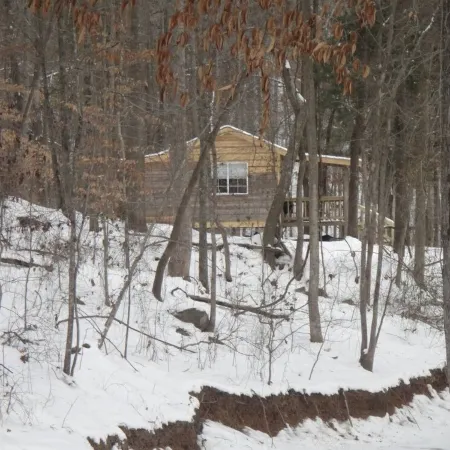 Lazy G Cabin #9 "Butternut"