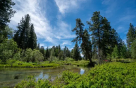 Running Bear · Running Bear on Fort Creek-CraterLake Bungalows