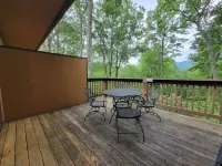 Quaint Mt. Mitchell Condo