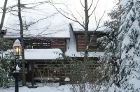 Romantic Leatherwood Mtn Log Home 19.3 acres /Panoramic View/Near Boone
