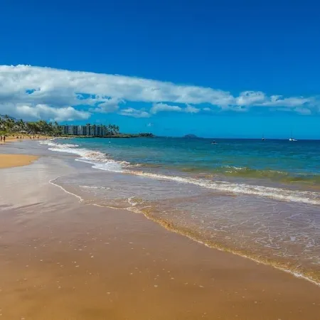 M.Vista Bldg. 2-Immaculate Updated Quiet Classy- across from Charley Young Beach