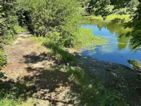 Wildwood Gardens Scenic Rustic Vacation Retreat on the River