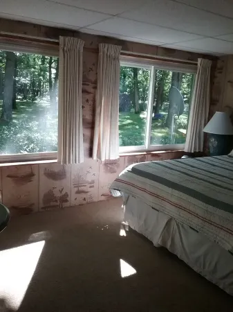 Fall Colors Are Coming Soon! Location, Huron National Forest Surrounded in Color