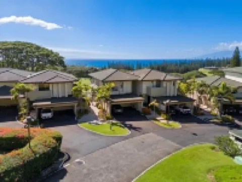 Walk to Kapalua Bay Beach, New 3Br & 4BA Bespoke Golf Villa, Ocean & Golf Views