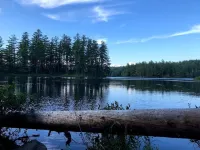 Historic Farmhouse, Quaint Vermont Experience