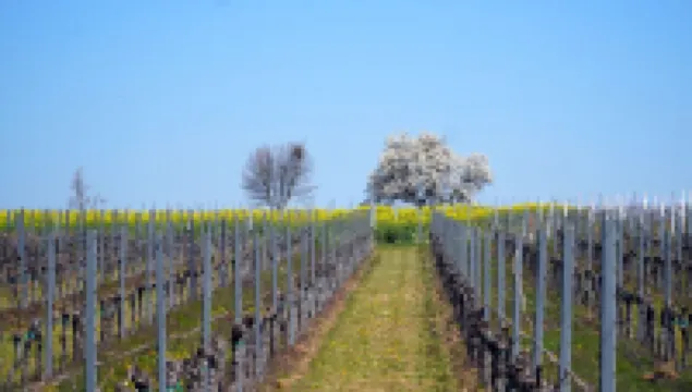 Rincón de Piedra a 30' de Barcelona