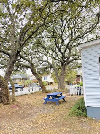Charming family-friendly cottage near the beach, large lot with beautiful oaks