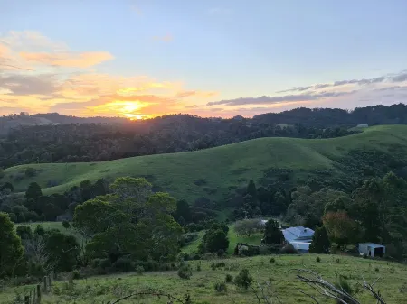 Foster - Nature Retreat -  Nippards Nature Cottage