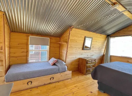 Avalanche Lily - Cabin 4 - 2 bedrooms in Creede, Colorado