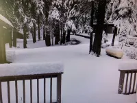 Kid & Pet Friendly Beautiful Fully Functioning Cabin Sleeps 8