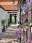 Beautiful modern villa with swimming pool and jacuzzi in absolute calme