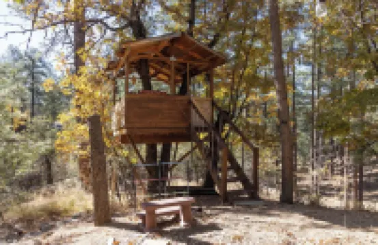 NEW! CozyCreekCabin-Treehouse-Large Deck-Mountain Home