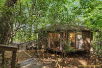 Treetop Getaway with AMAZING lake views!