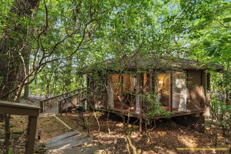 Treetop Getaway with AMAZING lake views!