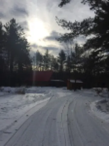 Private Red Roof Cabin - Rustic Log Cabin In The Woods!