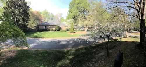 Leafy, Suburban Abode
