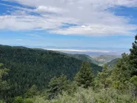 Cozy Condo for 6 with Wooded Back Patio & Grill. 1 Mile to Town Square.