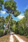 Fano - Large apartment in a country house 5 minutes from the city center