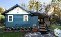 ❤️New! 2.5 mi to Whiteface, ADK Cabin w/ Fire pit