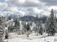 Dream for Hiking, Star Gazing, Fishing, Lakes & Hunting - 2 Night Minimum