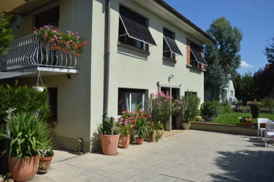 Colmar small garden of the semm 6 to 10 people, parking 4 private cars and iron