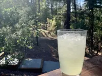 Entire Home! Big Style, Big Views, Great Location! Hotels in Pine