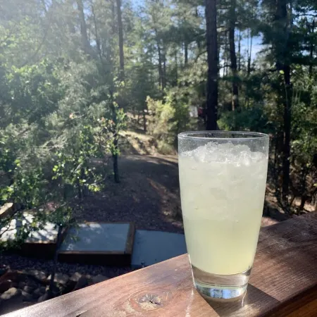 Entire Home! Big Style, Big Views, Great Location!