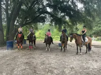 Private Loft at a Working Show Barn ~ Pets Welcome!