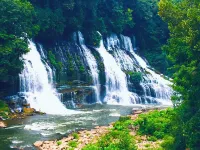 Surrounded by state parks!