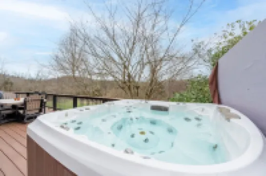 Secluded 5 BR Modern Cabin, 120 acres.  New River  Trail, Claytor Lake, VA tech