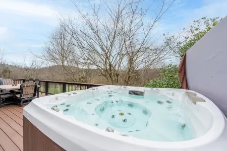 Secluded 5 BR Modern Cabin, 120 acres.  New River  Trail, Claytor Lake, VA tech