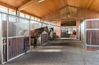 Vacation m. Horse u. Dog at the Kellerwald / Edersee National Park, riding on ponies Hotels in Waldeck-Frankenberg