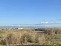 "Convenient Stay: Dia, Anchutz, City & Mountains